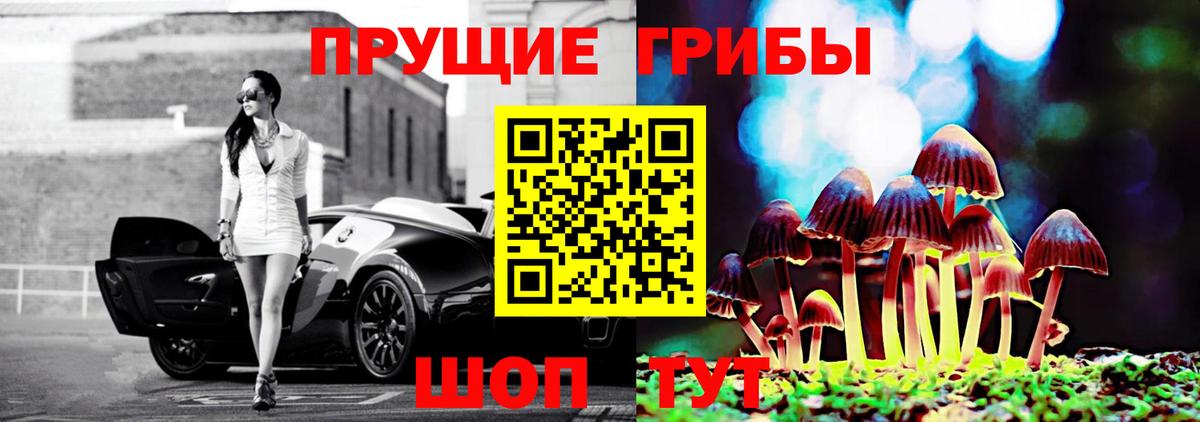 Балашов  Псилоцибиновые грибы GOLDEN TEACHER  Вход с VPN 