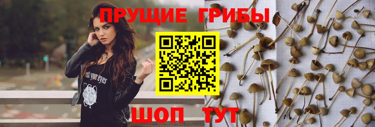Галлюциногенные грибы мухоморы Балашов